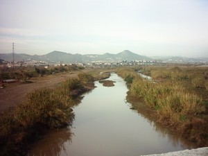 Aguas estancadas. El bajo Llobregat supera el límite legal de salinidad